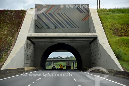  Bandeirantes Highway (SP-348) tunnel under of railroad  - Campinas city - Sao Paulo state (SP) - Brazil