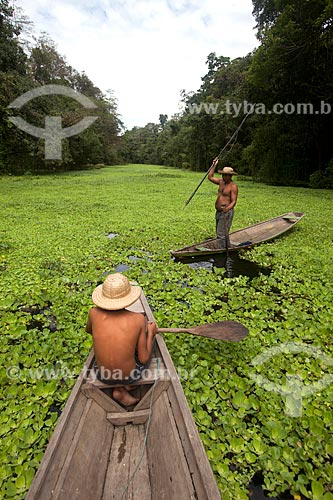  Boy and fisherman of pirarucu - Mamiraua Sustainable Development Reserve  - Tefe city - Amazonas state (AM) - Brazil