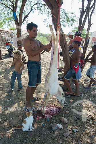  Man boning a goat (Capra aegagrus hircus) - Caatinga Grande Village - Truka tribe  - Cabrobo city - Pernambuco state (PE) - Brazil