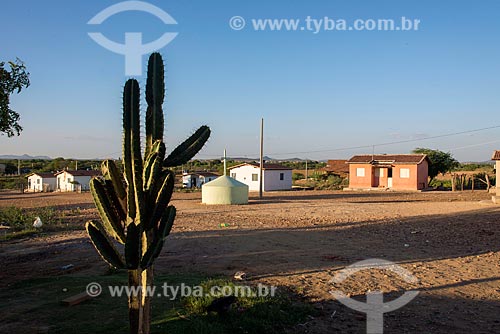  Houses of Caatinga Grande Village - Truka tribe  - Cabrobo city - Pernambuco state (PE) - Brazil