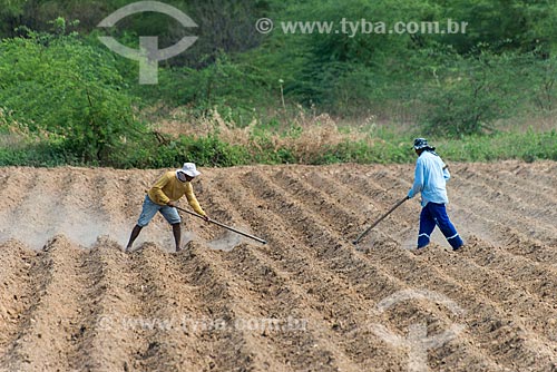  Rural workers doing irrigation channel for planting - rural zone of the Truka tribe  - Cabrobo city - Pernambuco state (PE) - Brazil
