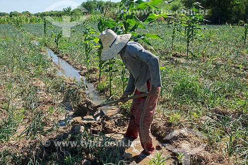  Rural worker doing irrigation channel for onion plantation - rural zone of the Truka tribe  - Cabrobo city - Pernambuco state (PE) - Brazil