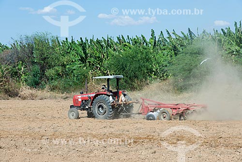  Tractor powing the soil to onion plantation - rural zone of the Truka tribe  - Cabrobo city - Pernambuco state (PE) - Brazil