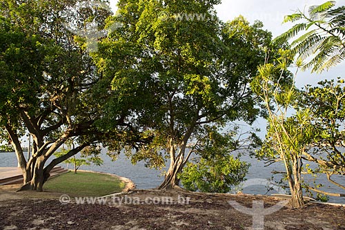  Trees - waterfront of Mayor Luiz Paulo Conde Waterfront  - Rio de Janeiro city - Rio de Janeiro state (RJ) - Brazil