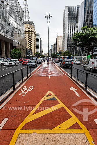  Paulista Avenue bike lane  - Sao Paulo city - Sao Paulo state (SP) - Brazil