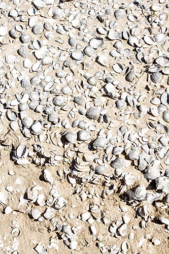  Shell midden in Garopaba do Sul district - Archeological site with about 5,000 years old, and considered the largest one in Brazil  - Jaguaruna city - Santa Catarina state (SC) - Brazil