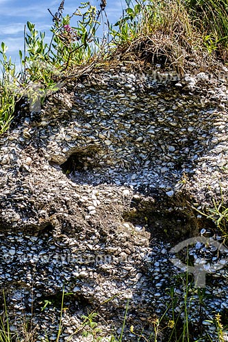  Shell midden in Garopaba do Sul district - Archeological site with about 5,000 years old, and considered the largest one in Brazil  - Jaguaruna city - Santa Catarina state (SC) - Brazil