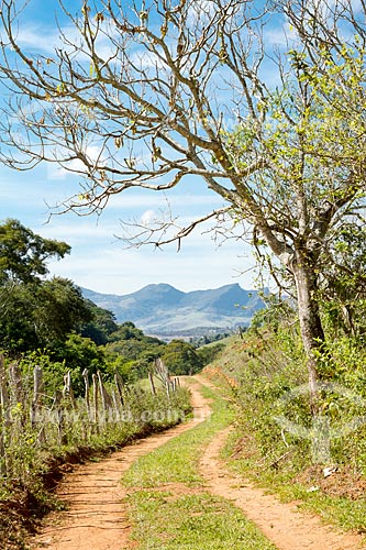  Dirt road - Guarani city rural zone  - Guarani city - Minas Gerais state (MG) - Brazil