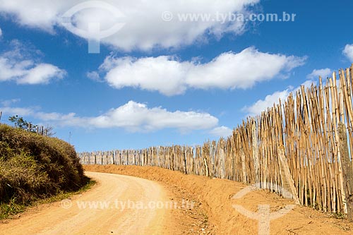  Snippet of dirt road - Guarani city rural zone  - Guarani city - Minas Gerais state (MG) - Brazil