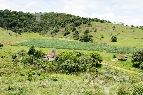  Farm in the Guarani city rural zone with corn plantation in the background  - Guarani city - Minas Gerais state (MG) - Brazil