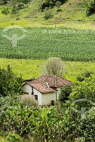  Farm in the Guarani city rural zone with corn plantation in the background  - Guarani city - Minas Gerais state (MG) - Brazil