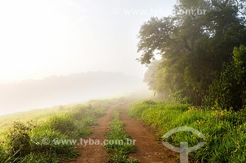  Winter twilight - Guarani city rural zone  - Guarani city - Minas Gerais state (MG) - Brazil