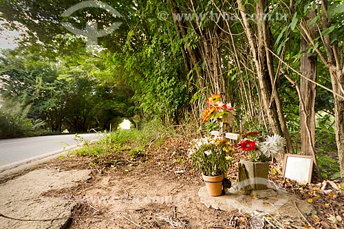  Cross and small altar in honor of dead in an accident on the kerbside of MG-353 highway  - Guarani city - Minas Gerais state (MG) - Brazil