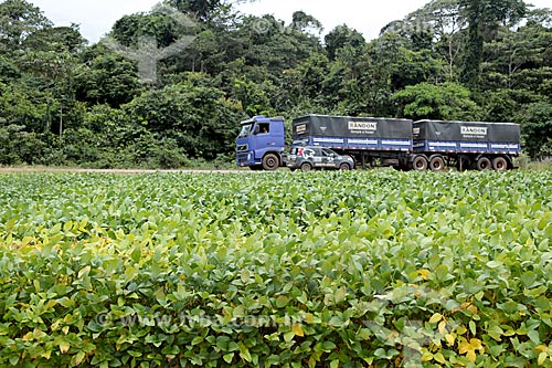  Detail of soybean plantation with the BR-364 highway in the background  - Caceres city - Mato Grosso state (MT) - Brazil