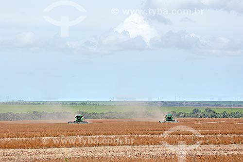  Detail of soybean mechanized harvesting  - Jaciara city - Mato Grosso state (MT) - Brazil