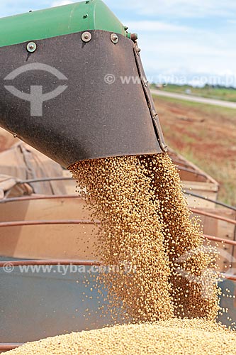  Detail of soybean unloading during mechanized harvesting  - Jaciara city - Mato Grosso state (MT) - Brazil