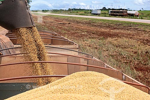  Detail of soybean unloading during mechanized harvesting  - Jaciara city - Mato Grosso state (MT) - Brazil