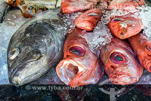  Detail of fish on sale - fish market of the Barra Port - Manguinhos Beach)  - Armacao dos Buzios city - Rio de Janeiro state (RJ) - Brazil