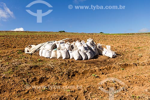  Use of manure in the application of fertilizer in tobacco planting - Guarani city rural zone  - Guarani city - Minas Gerais state (MG) - Brazil