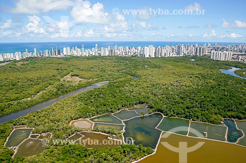  Aerial photo of the shrimp farming - Manguezais Park (Mangroves Park) with the buildings of Boa Vista neighborhood in the background  - Recife city - Pernambuco state (PE) - Brazil