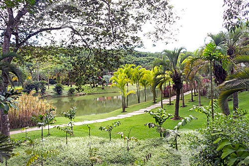 Garden of the Inhotim Contemporary Art Center (Inhotim Institute)  - Brumadinho city - Minas Gerais state (MG) - Brazil