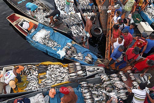  Fish Market in the port of Manaus  - Manaus city - Amazonas state (AM) - Brazil