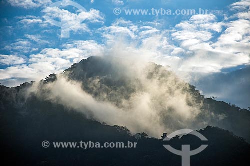  Clouds - Tijuca National Park  - Rio de Janeiro city - Rio de Janeiro state (RJ) - Brazil