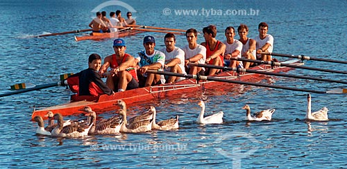  Canoeing training stopped - Rodrigo de Freitas Lagoon by geese bunch - 90s  - Rio de Janeiro city - Rio de Janeiro state (RJ) - Brazil