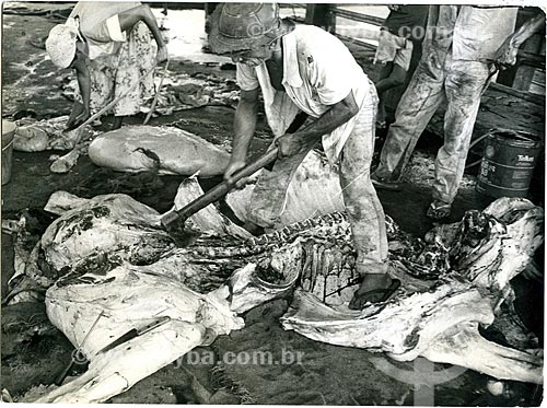  Man slaughtering cattle - Iguai city rural zone  - Iguai city - Bahia state (BA) - Brazil