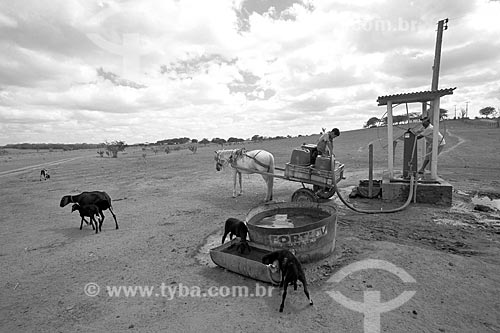  People seeking water during the dry season - Alagoas state rural zone  - Alagoas state (AL) - Brazil