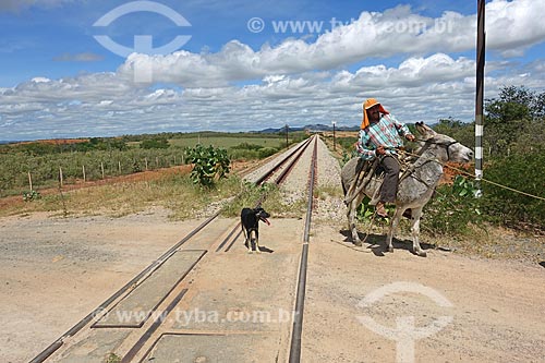 Man riding a donkey - railroad crossing of the New Transnordestina Railroad  - Salgueiro city - Pernambuco state (PE) - Brazil