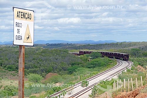  View of train - snippet of the New Transnordestina Railroad  - Salgueiro city - Pernambuco state (PE) - Brazil