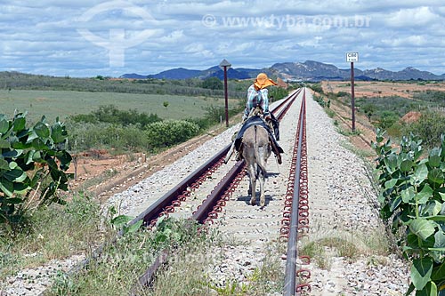  Man riding a donkey - snippet of the New Transnordestina Railroad  - Salgueiro city - Pernambuco state (PE) - Brazil