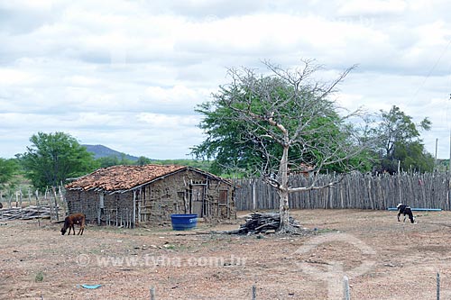  Clay house - Cabrobo city rural zone  - Cabrobo city - Pernambuco state (PE) - Brazil