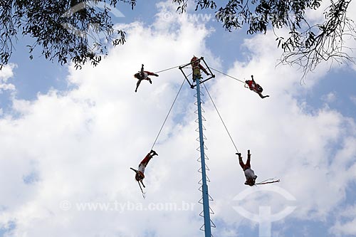  Apresentation of the Voladores de PaPlanta (Group of acrobatics)  - Mexico city - Federal District - Mexico