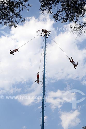  Apresentation of the Voladores de PaPlanta (Group of acrobatics)  - Mexico city - Federal District - Mexico