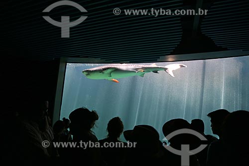  Visitors inside of AquaRio - Acuario de Veracruz (Veracruz Aquarium)  - Veracruz city - Veracruz state - Mexico