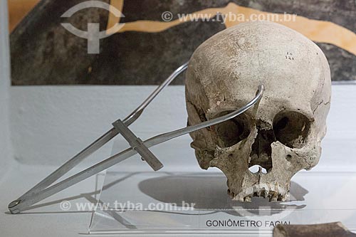  Detail of facial Goniometer - skull measurement method to identify the skeleton according to sex, size etc - Arqueological Museum of  Sambaqui from Joinville  - Joinville city - Santa Catarina state (SC) - Brazil