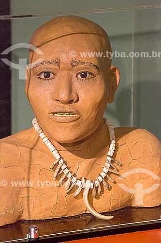  Reconstruction of an adult Sambaquiano through documentary research on exhibit - Arqueological Museum of  Sambaqui from Joinville  - Joinville city - Santa Catarina state (SC) - Brazil