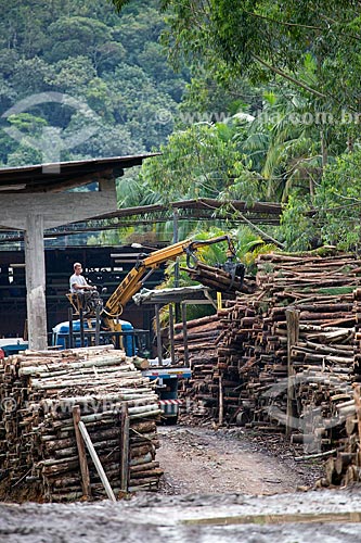 Sell Logging - Km 110 of Ralf Knaesel Highway (SC-416)  - Pomerode city - Santa Catarina state (SC) - Brazil