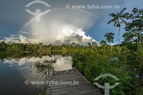  Rainbow - Iratapuru River - Iratapuru Sustainable Development Reserve  - Laranjal do Jari city - Amapa state (AP) - Brazil