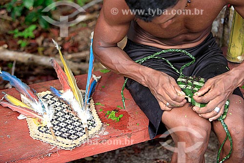  Man making the straw glove with bullet ants used to tucandeira rite - Tarruape Village of the Satere-mawe tribe  - Manacapuru city - Amazonas state (AM) - Brazil