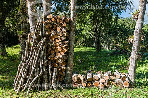  Pile of firewood  - Resende city - Rio de Janeiro state (RJ) - Brazil
