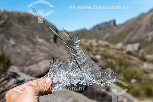  Detail of piece of ice made during the natural low temperatures near to Pedra do Altar (Altar Stone) - Itatiaia National Park  - Itatiaia city - Rio de Janeiro state (RJ) - Brazil