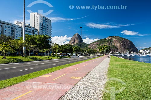  Bike lane - Botafogo Beach with the Sugar Loaf in the background  - Rio de Janeiro city - Rio de Janeiro state (RJ) - Brazil
