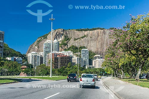  Traffic - Epitacio Pessoa Avenue with the Cantagalo Hill in the background  - Rio de Janeiro city - Rio de Janeiro state (RJ) - Brazil