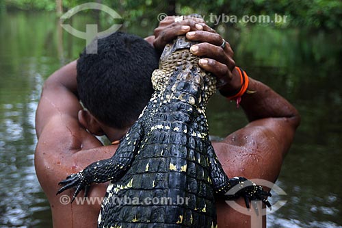  Detail of riverine fishing alligator - Ubim River  - Manacapuru city - Amazonas state (AM) - Brazil