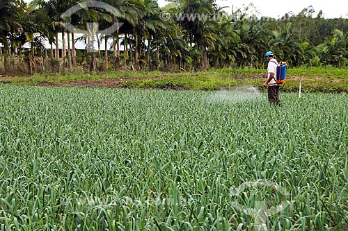  Pesticide application - garlic plantation  - Espirito Santo state (ES) - Brazil