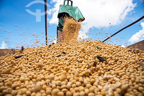  Detail of soybean unloading during mechanized harvesting  - Formosa do Rio Preto city - Bahia state (BA) - Brazil