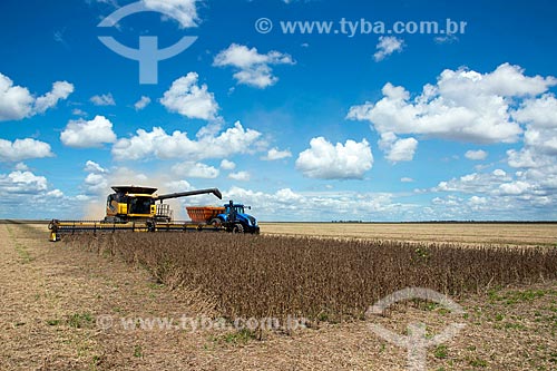  Soybean mechanized harvesting  - Formosa do Rio Preto city - Bahia state (BA) - Brazil